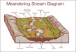 Vector illustration of a Meandering Stream