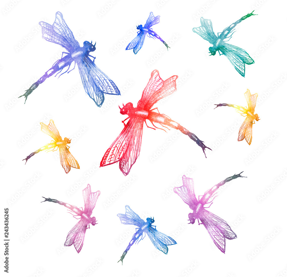 colorful dragonfly images drawing