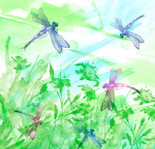 Watercolor Bouquet Of Green Flowers, Dragonflies. Abstract Splash Of Paint, Fashion Illustration.green,
Blue Cornflower,iris, Wildflowers, Field Or Garden Flowers. Blooming Meadow,summer Landscape. 