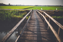 Old Wooden Bridge To Agriculture Rice Field, Natural  Background