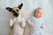 Newborn happy baby portrait lying on back together with funny puppy on beige color  plaid. Adorable couple friendship. Lovely little male child relaxing with dog at home. Carefree childhood. Pet lover
