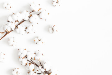 Flowers composition. Cotton flowers on white background. Flat lay, top view, copy space