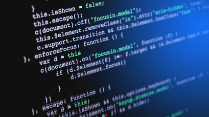 Wall Mural - source code programming on screen of computer
