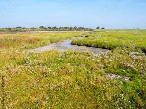 Fotografia, Obraz Panorama of salt marsh and tidal flat at low tide of Waddensea on West Frisian i