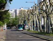 Strasbourg Tramway - Boulevard de la Victoire