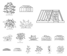 Wall Mural - Vector illustration of greenhouse and plant logo. Set of greenhouse and garden stock symbol for web.