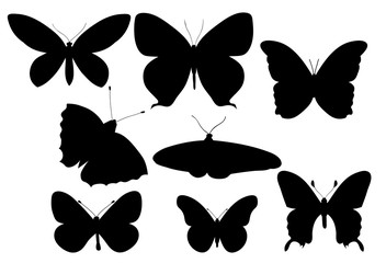 isolated, silhouette of insects, butterflies