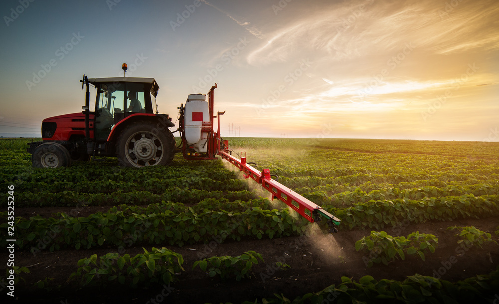 Tractor spraying pesticides at  soy bean field - obrazy, fototapety, plakaty 