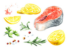 Salmon Fish Fillet With Lemon, Rosemary And Spicies Set. Watercolor Hand Drawn Illustration Isolated On White Background