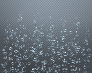 Canvas Print -  Underwater Bubbles Transparent Background