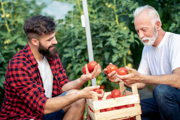 Wall Mural - Father and son working in greenhouse