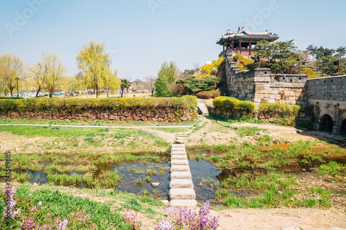 Foto Hwaseong Fortress Banghwasuryujeong with spring flowers in Suwon, Korea