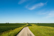 Country road in the rural Midwest.  Bureau County, Illinois, USA