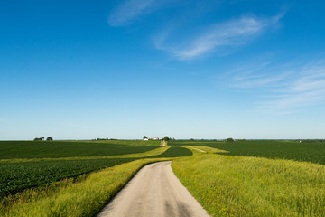 Wall Mural - Country road in the rural Midwest.  Bureau County, Illinois, USA