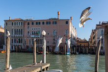 Giant Hands Rise From The Water Of Grand Canal To Support The Building In Venice.