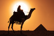 silhouette sunset of bedouin on camel at pyramids giza egypt