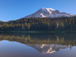 calm summer morning view of mt rainier and reflection lake in washington state of the us pacific northwest