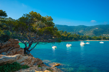 Landscape of the Calanques du Layet in Le Lavandou