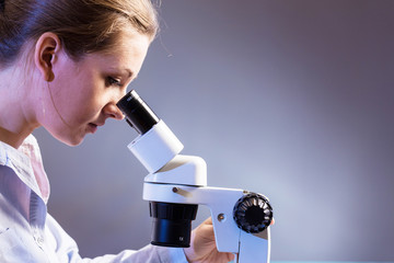 Wall Mural - beautiful science student looking into a microscope in a laboratory