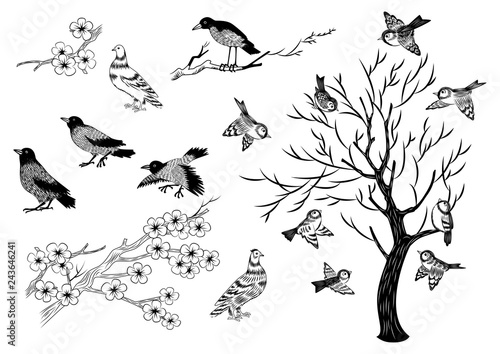 Sketch Birds And Trees Buy This Stock Vector And Explore