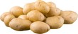 Group of Yukon gold potatoes