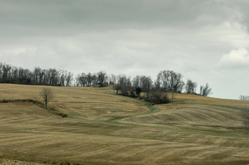 Rolling Hilly Farmland