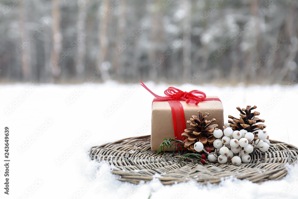 Composition with Christmas decor and gift box on snow outdoors