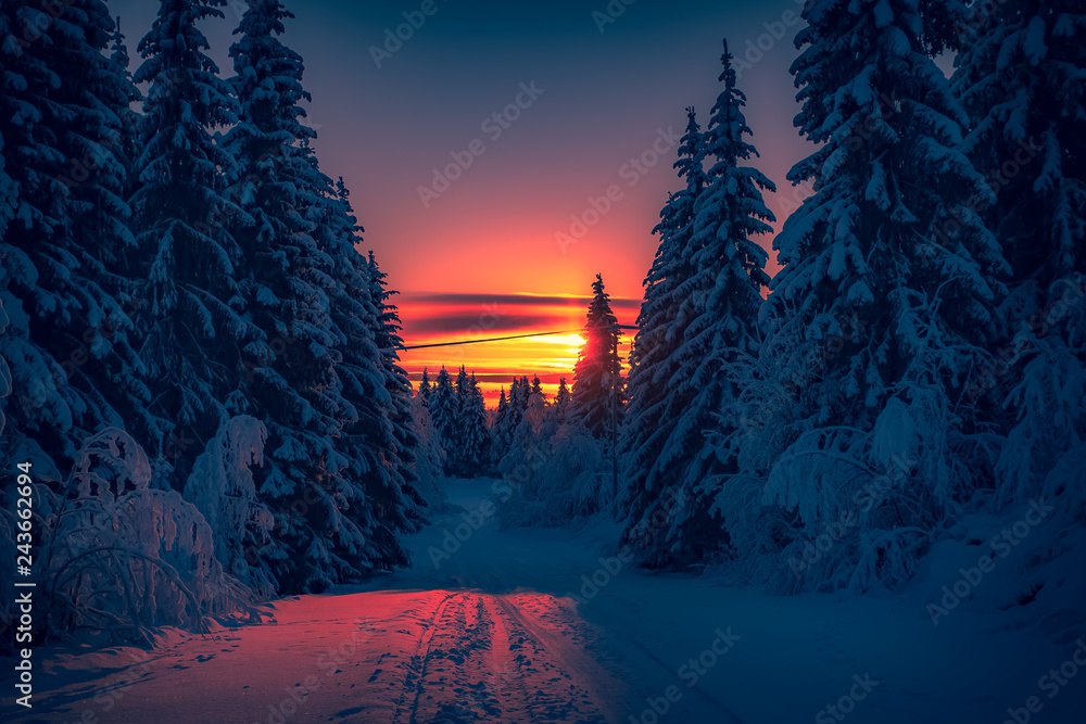 Winter sunset road view from Sotkamo, Finland. - obrazy, fototapety, plakaty 