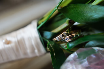 Wall Mural - Wedding rings with diamonds in green leaves