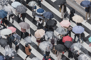  Crosswalk Scene on the Rainy Day from above