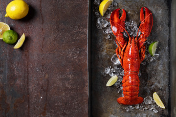 Lobster in a dark grey rusty tray served on ice with lemon and live, top view, vintage style