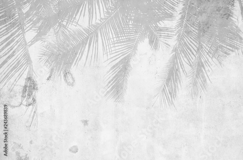 beautiful-palm-leaf-shadow-on-grunge-cement-wall-monochrome