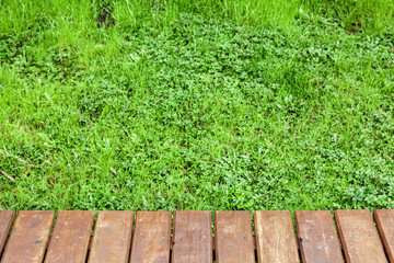 Wall Mural - Wooden table over lawn with green grass