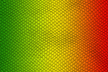 Green, Yellow And Red Colored Snake Skin Pattern