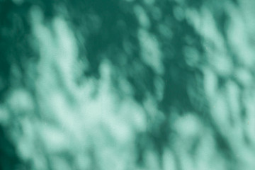 Wall Mural - abstract background textuer of shadows leaf on a concrete wall