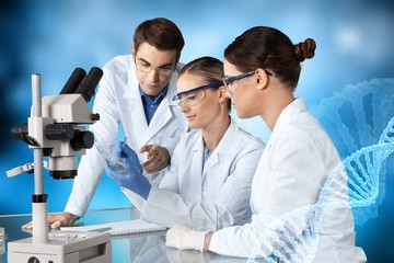 Wall Mural - Female and male scientists in glasses working with microscope