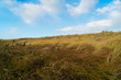 © Kalinka Kalinka - Dünengras vor blauem Himmel mit Cumulus Wolken