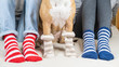 Staffordshire terrier and two people sitting on the bed wearing similar striped socks. Pet owners and dog in colorful socks sitting on  in bedroom, concept of a dog as a family member.
