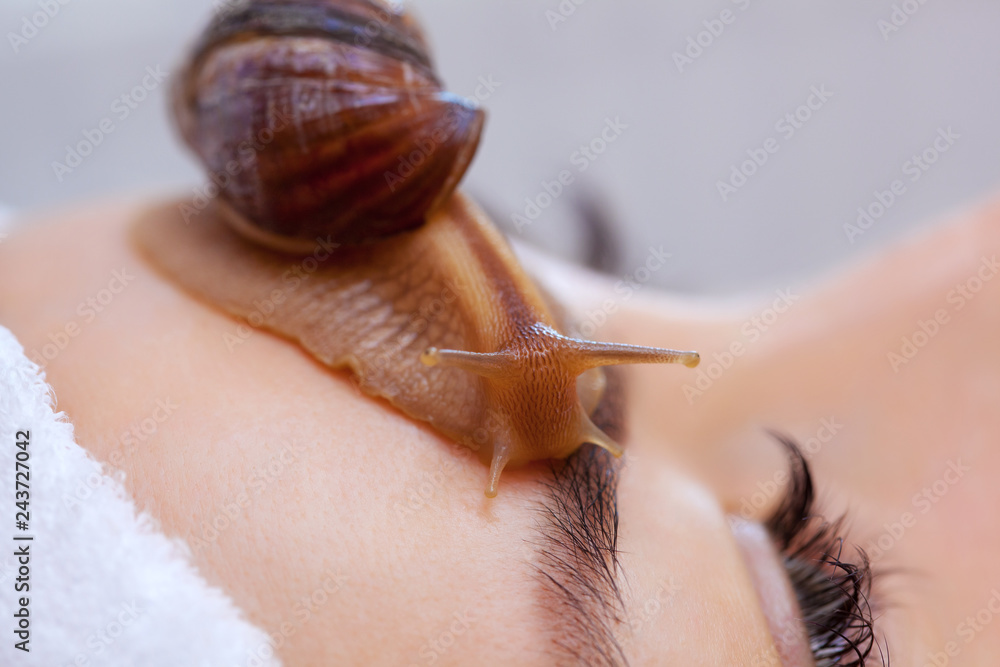 Cosmetological procedure. Beautiful young woman with a snail ahatin on her face in a beauty salon.