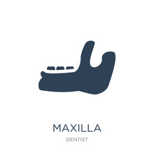 Maxilla Icon Vector On White Background, Maxilla Trendy Filled I
