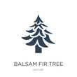 balsam fir tree icon vector on white background, balsam fir tree