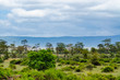 safari landscape in ngorongoro