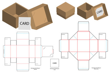 Box packaging die cut template design. 3d mock-up