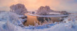 Panorama of winter nature on sunrise