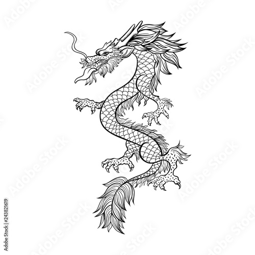 Chinese Dragon Hand Drawn Vector Illustration Mythical