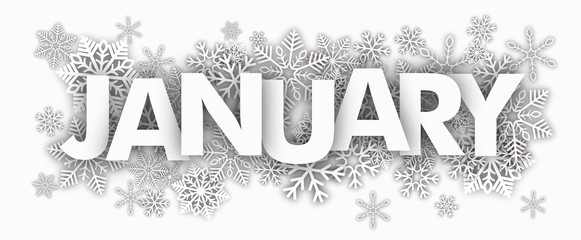 white snowflakes january
