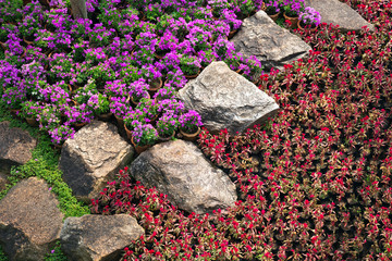 Canvas Print - Vertical landscaping in the park.