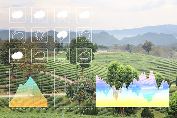 Wall Mural - weather forecast symbol data presentation with graph and chart on freshness clean nature green morni