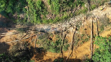 Wall Mural - Deforestatqion, logging, environmental destruction in Southeast Asia 