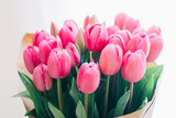 Fototapeta Tulipany - bouquet of pink tulips on a white background
